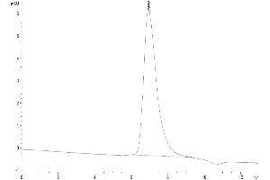 The purity of Human FAP is greater than 95 % as determined by SEC-HPLC.