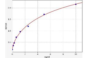 Typical standard curve (Reticulon 3 ELISA Kit)