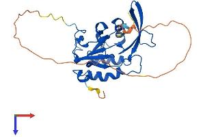 CTDSP1 Protein (AA 1-261) (His tag)