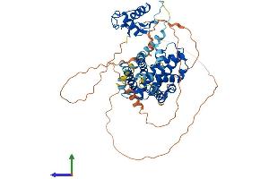 Protein Structure (PS) image for Nuclear Receptor Subfamily 5, Group A, Member 2 (NR5A2) (AA 1-560) protein (His tag) (ABIN7563268)