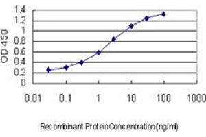 Detection limit for recombinant GST tagged TFAP4 is approximately 0.