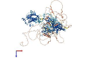PITPNM2 Protein (AA 1-1335) (His tag)