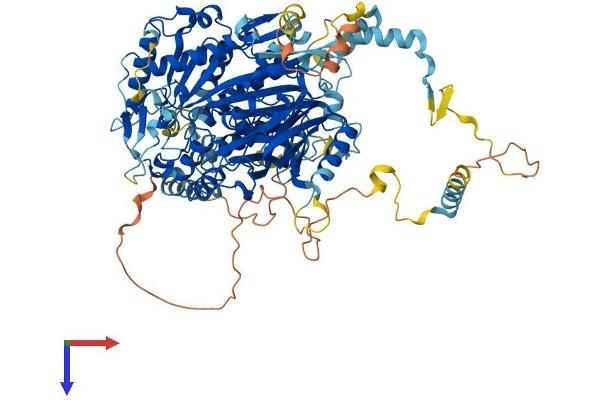 FIG4 Protein (AA 1-907) (His tag)