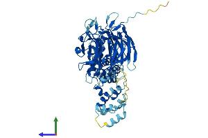 Protein Structure (PS) image for Kelch-Like 23 (KLHL23) (AA 1-558) protein (His tag) (ABIN7548927)