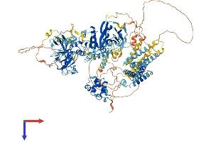 DGKH Protein (AA 1-1220) (His tag)