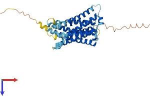 MRGPRX1 Protein (AA 1-322) (His tag)