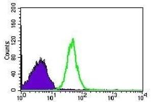 Flow cytometric analysis of Hela cells using CDK4 mouse mAb (green) and negative control (purple). (CDK4 Antikörper)