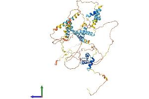 Protein Structure (PS) image for Ligand Dependent Nuclear Receptor Corepressor-Like (LCORL) (AA 1-602) protein (His tag) (ABIN7549022)