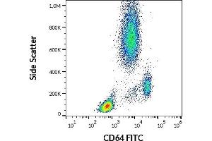 Flow cytometry surface staining pattern of human peripheral whole blood stained using anti-human CD64 (10. (FCGR1A Antikörper  (FITC))