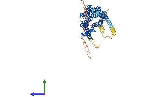 Protein Structure (PS) image for Adrenergic, beta-2-, Receptor, Surface (ADRB2) (AA 1-413) protein (His tag) (ABIN7552065)