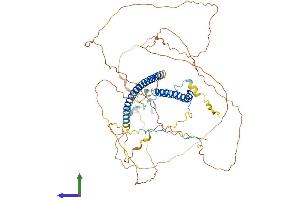 Protein Structure (PS) image for Male-Specific Lethal 1 Homolog (MSL1) (AA 1-616) protein (His tag) (ABIN7564119)