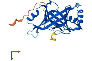 MED18 Protein (AA 1-208) (His tag)