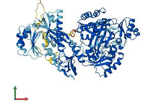 Protein Structure (PS) image for Carnosine Synthase 1 (CARNS1) (AA 1-827) protein (His tag) (ABIN7558141)