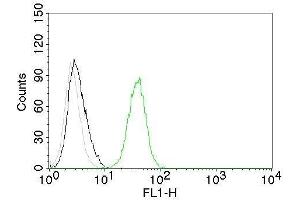 Flow Cytometry of human CD31 on Jurkat cells. (CD31 Antikörper)