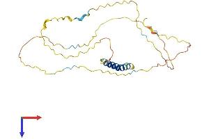 LAT Protein (AA 1-262) (His tag)