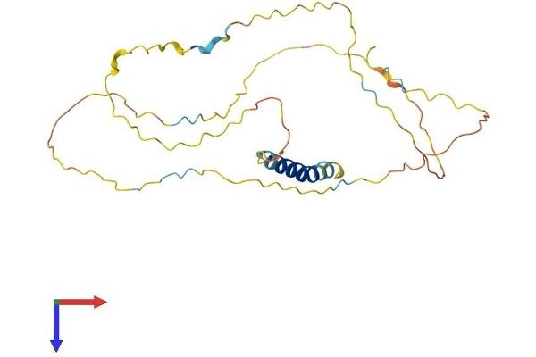 LAT Protein (AA 1-262) (His tag)