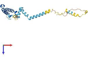 DNAJC5 Protein (AA 1-198) (His tag)