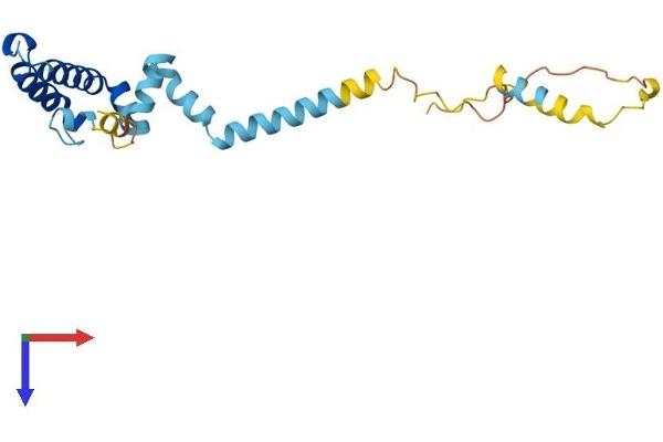DNAJC5 Protein (AA 1-198) (His tag)