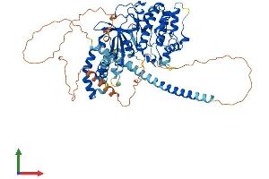 Protein Structure (PS) image for Dystrophia Myotonica-Protein Kinase (DMPK) (AA 1-631) protein (His tag) (ABIN7563445)