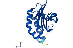 Protein Structure (PS) image for Mitogen-Activated Protein Kinase Kinase 1 Interacting Protein 1 (MAPKSP1) (AA 1-124) protein (His tag) (ABIN7562643)