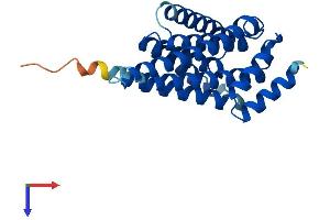 YWHAB Protein (AA 1-246) (His tag)