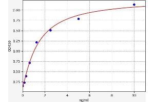 RNF112 ELISA Kit