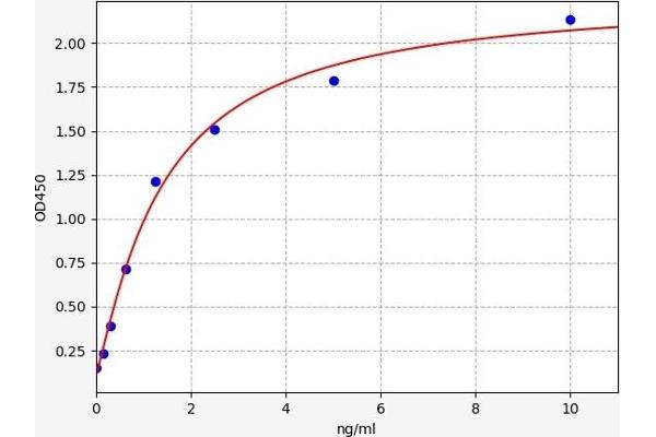 RNF112 ELISA Kit