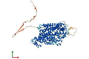 Protein Structure (PS) image for Solute Carrier Family 6 (Neurotransmitter Transporter, Dopamine), Member 3 (SLC6A3) (AA 1-619) protein (His tag) (ABIN7557693)