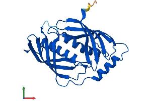 Protein Structure (PS) image for Latexin (LXN) (AA 1-222) protein (His tag) (ABIN7549214)