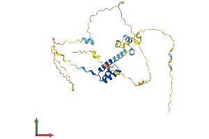 Protein Structure (PS) image for BarH-Like Homeobox 1 (BARHL1) (AA 1-327) protein (His tag) (ABIN7552724)