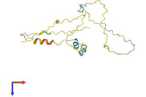 TDRP/C8orf42 Protein (AA 1-185) (His tag)