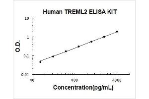 Triggering Receptor Expressed On Myeloid Cells-Like 2 (TREML2) ELISA Kit