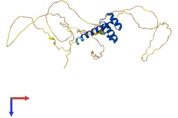 CRX Protein (AA 1-299) (His tag)