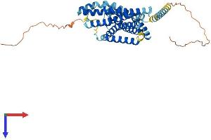 G Protein-Coupled Receptor 132 Protein (GPR132) (AA 1-382) (His tag)