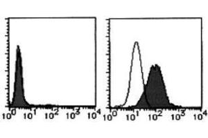 Flow Cytometry (FACS) image for anti-Tumor Necrosis Factor (Ligand) Superfamily, Member 13b (TNFSF13B) antibody (FITC) (ABIN2853607) (BAFF Antikörper  (FITC))