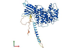 Protein Structure (PS) image for Myotubularin 1 (MTM1) (AA 1-603) protein (His tag) (ABIN7565296)