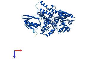 MTMR9 Protein (AA 1-545) (His tag)