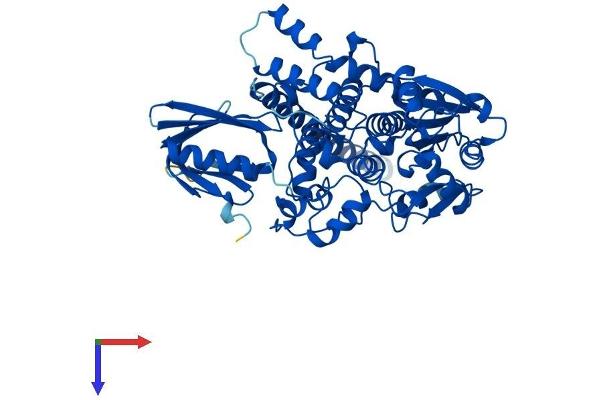 MTMR9 Protein (AA 1-545) (His tag)