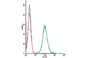 Cell surface detection of Angiotensin II receptor type-2 by indirect flow cytometry in live intact mouse J774 macrophage cells: (black line) Cells. (Angiotensin II Type 2 Receptor Antikörper  (Extracellular))