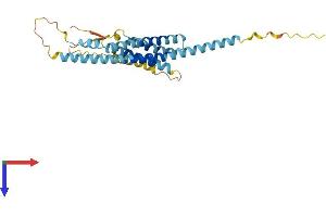 TMEM176B Protein (AA 1-263) (His tag)