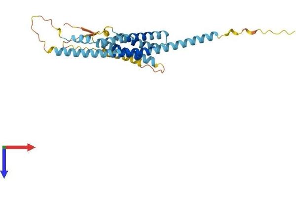 TMEM176B Protein (AA 1-263) (His tag)
