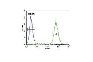 GDNF Antibody (N-term) (ABIN652624 and ABIN2842416) flow cytometric analysis of 293 cells (right histogram) compared to a negative control cell (left histogram). (GDNF Antikörper  (N-Term))