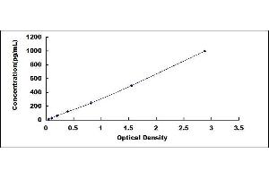 CDNF ELISA Kit