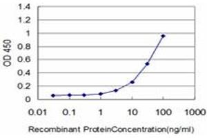 Detection limit for recombinant GST tagged HSPB8 is approximately 1ng/ml as a capture antibody. (HSPB8 Antikörper  (AA 97-196))
