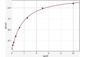 Typical standard curve (T-Bet ELISA Kit)
