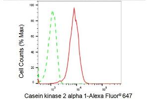 Flow cytometric analysis of Casein kinase 2 alpha 1 expression in HepG2 cells using Casein kinase 2 alpha 1 antibody (ABIN7797882), 1:2,000). (Rekombinanter CSNK2A1/CK II alpha Antikörper)