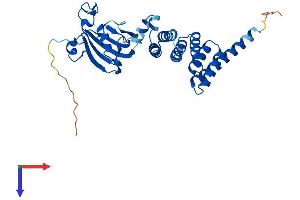 FKBP6 Protein (AA 1-327) (His tag)