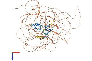 MAGE-Like 2 Protein (MAGEL2) (AA 1-1284) (His tag)
