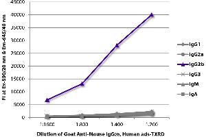 FLISA plate was coated with purified mouse IgG1, IgG2a, IgG2b, IgG3, IgM, and IgA. (Ziege anti-Maus IgG2b (Heavy Chain) Antikörper (Texas Red (TR)))