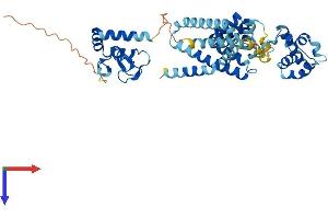 BFAR Protein (AA 1-450) (His tag)